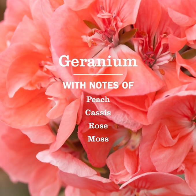 MRS. MEYER'S CLEAN DAY Multi-Surface Everyday Concentrate, Geranium Scent, 32 Fl Oz Bottle - 2 Pack