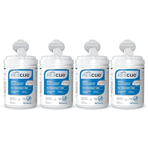 REScue One-Step Wipes Canister, 160 Count (Pack of 4)