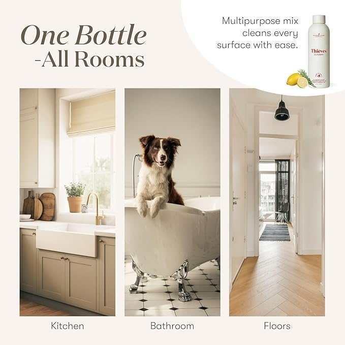 Young Living Thieves Household Cleaner | Plant-Based Multi Purpose Spray for Kitchen & Home | Eco Friendly All Purpose Surface Cleaner Concentrate 14.4 fl oz (2-Pack)