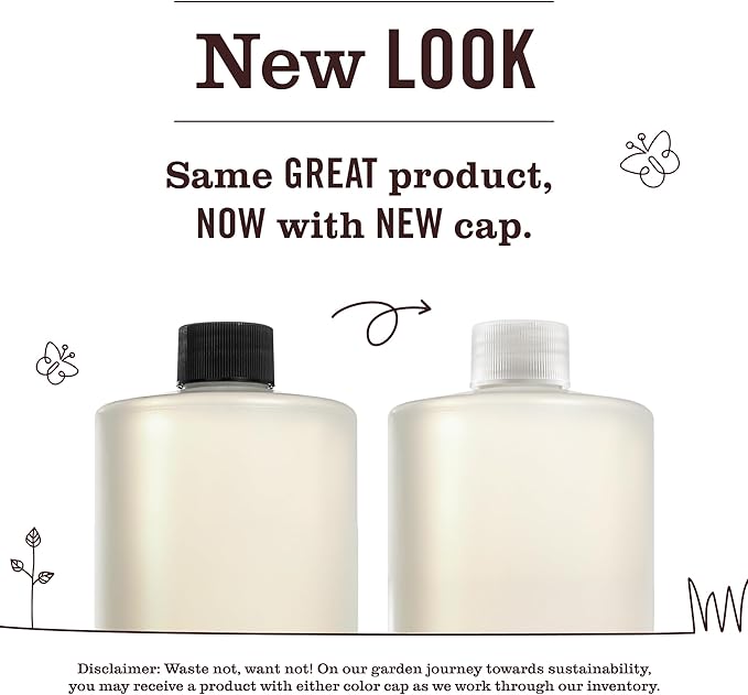 MRS. MEYER'S CLEAN DAY Multi-Surface Everyday Concentrate, Basil Scent, 32 Fl Oz Bottle