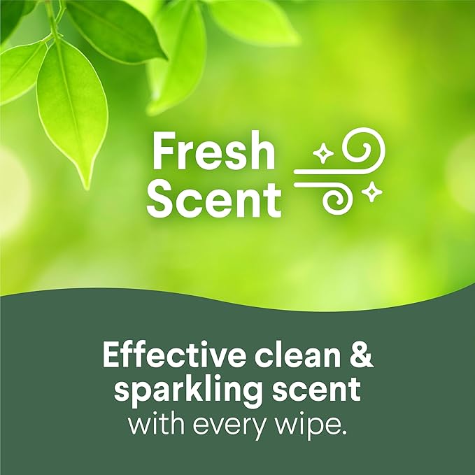 Clorox Disinfecting Cleaning Wipes, Bleach Free, Fresh Scent, 75 Count, Pack of 6 (Pack May Vary)