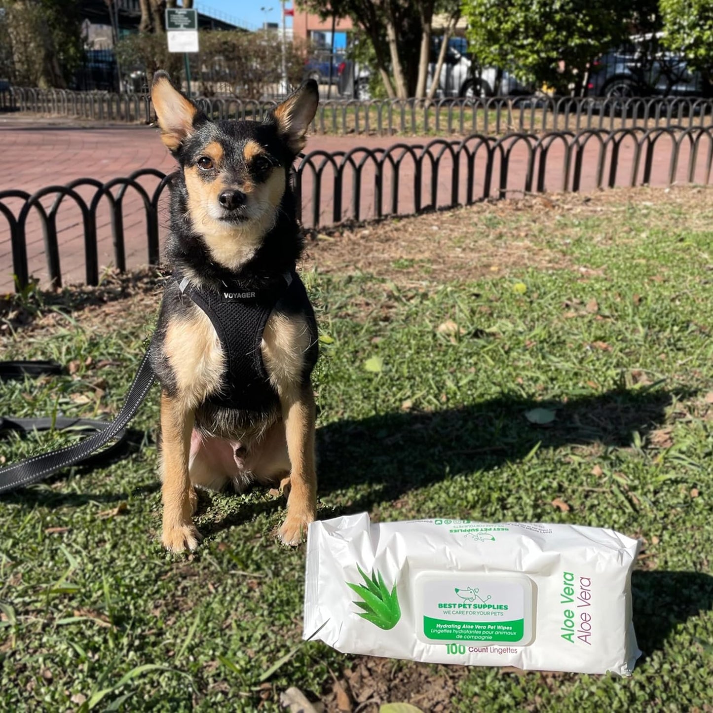 Best Pet Supplies Pet Grooming Wipes for Dogs & Cats,Deodorizer for Coats & Dry, Itchy, or Sensitive Skin, Clean Ears, Paws, Body, & Butt - Hydrating, Aloe Vera, 400 Count.