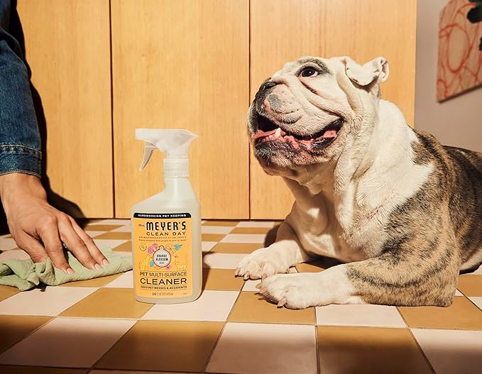 Mrs. MEYER'S CLEAN DAY Pet Multi-Surface Cleaner,Orange Blossom Scent,16oz,(Pack of 2)