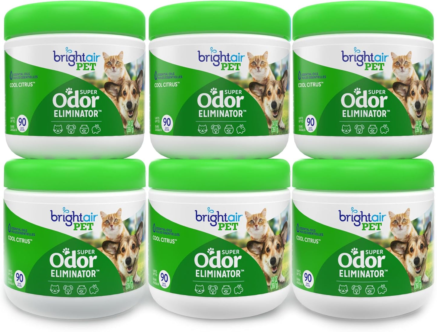 Bright Air 14 oz. Super Odor Eliminator, for Medium-Size Spaces, Cool Citrus Scent, Case of 6, Air Freshener, Natural Essential Oils, Lasts Up to 90 Days Each