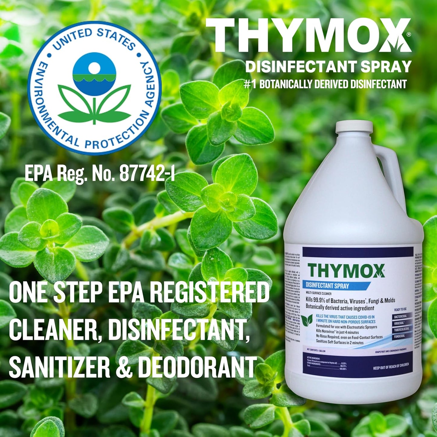 1 Gallon Botanical Disinfectant - All Natural Cleaner Mold Remover, Multipurpose Cleaner, Mold Killer - Ideal for Restoration Jobs and Water Damage, Pet Friendly Natural Disinfectant